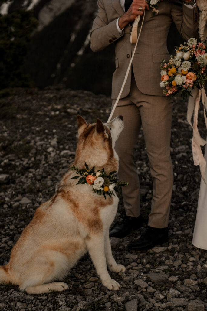 bride and groom on a mountain for hiking elopement