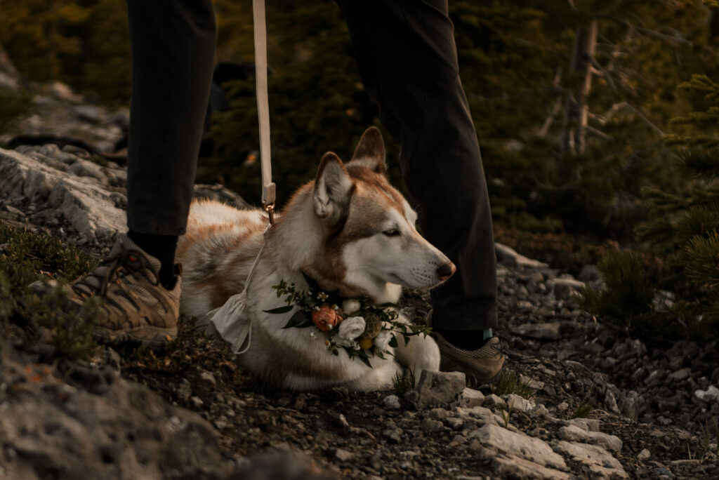 bride and groom mountain top sunrise elopement ceremony